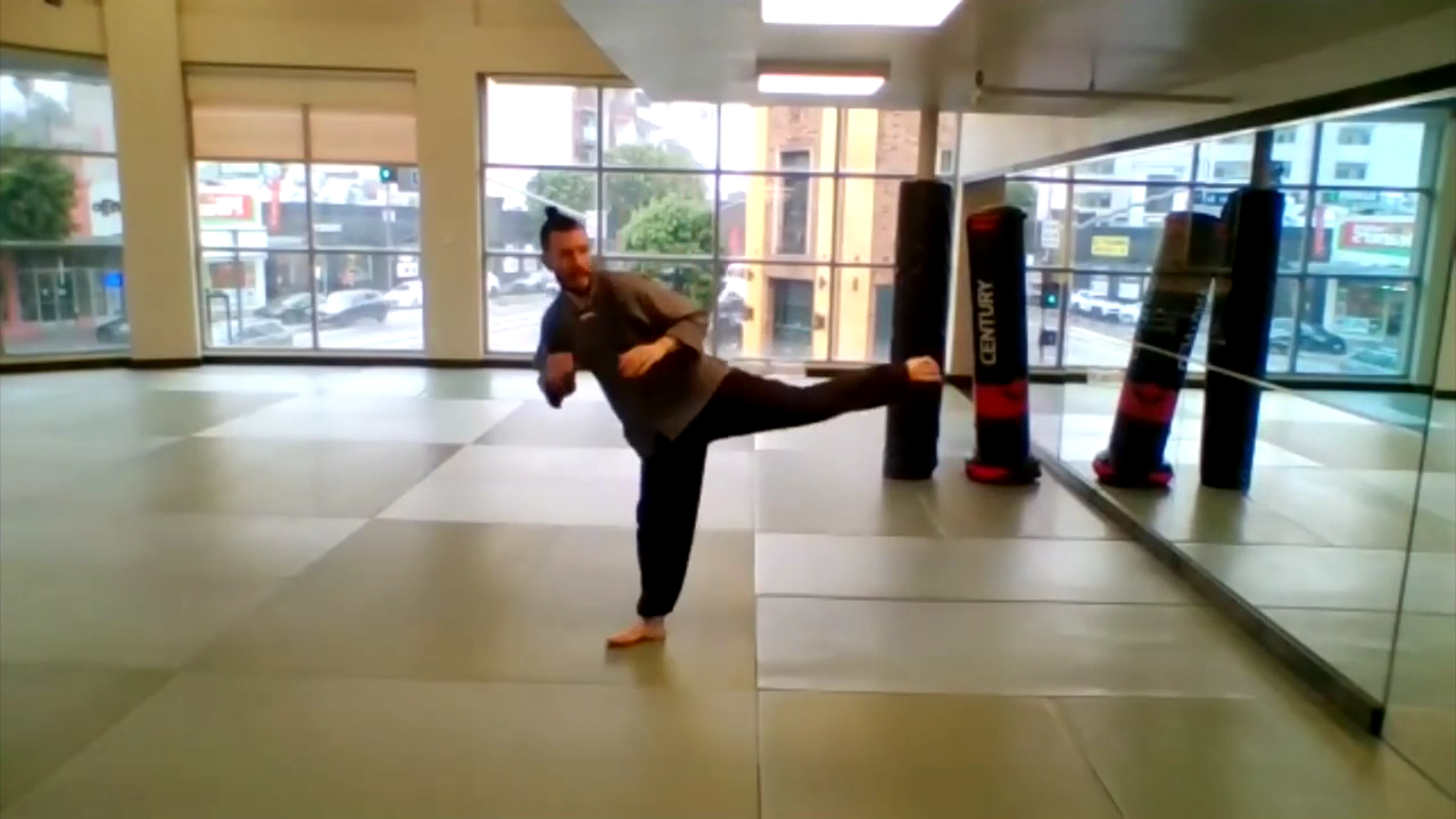 Wushu I Side Kicks