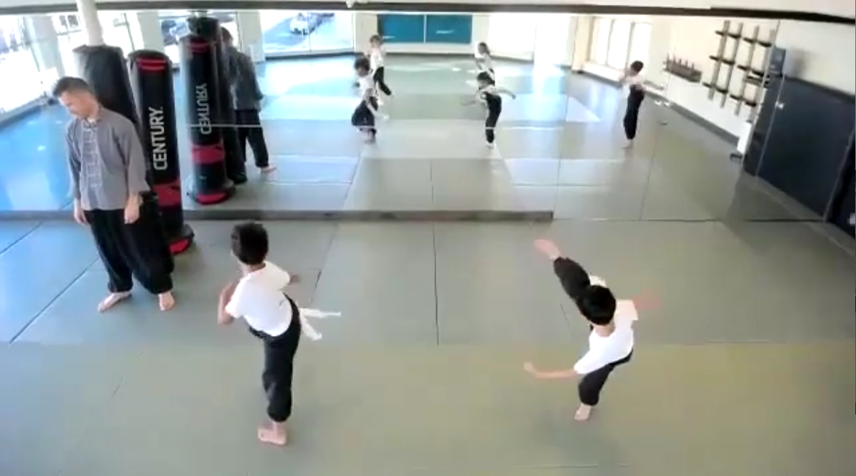 Roundhouse Kicks