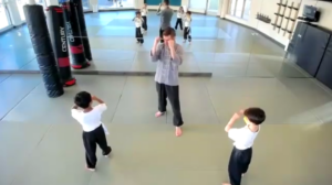 Wushu I test prep slow and fast