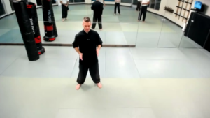 Tai Chi shifting weight