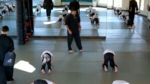 Wushu II - strong arms handstands