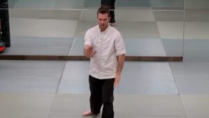 Tai Chi - Details of Hand Positions