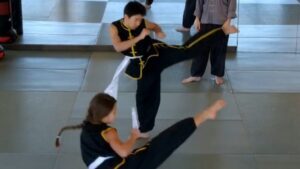 Wushu III - Line Drills & Footwork